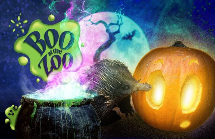 Boo at the Zoo